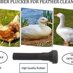 skm Rubber finger plucker for feather cleaning(50 piece) Silicone Masher Meat Tenderizer-picture-13