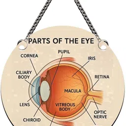 gift me bazar Part Of The Eye Wall Hanging For Class Room, Student Room, Living Room-picture-44