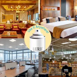 LURE 4 Pieces Aqua Fresh Air Freshener - 220ml Each image 2