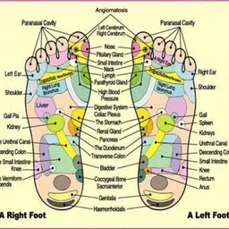 verasis KINOKI FOOT PATCH25 image 2
