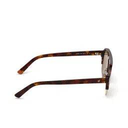 WEB EYEWEAR Unisex Round Sunglasses WE0224 52 52G-Brown image 2