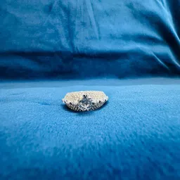 gopal and sons Glamorous Silver Ring with Majestic White Crystal. Silver Cubic Zirconia Platinum Plated Chain Ring - Single Finger image 2