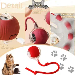 sareekart fab Pet Cat Toys for Persian Cats – Interactive Pet Toys for Cats & Kittens Plastic Ball For Dog & Cat image 3
