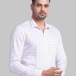 Park Avenue Men Windowpane Checks Checked Formal Shirt image 3