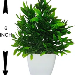 kavyasolutions 2D+2M+2P Multicolor Wild Flower Artificial Flower with Pot image 3