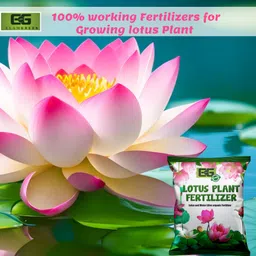 elamgreen Lotus Plant Fertilizer | Growth & Flower Booster for Healthy Lotus Fertilizer image 3