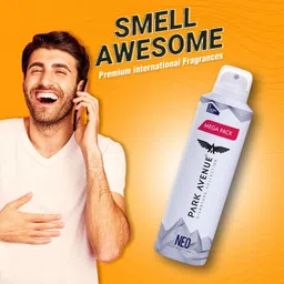 park avenue New MEGA PACK SIGNATURE NEO Deodorant Spray - For Men image 3