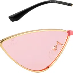 UV Protection Cat-eye Sunglasses (56)-image-6