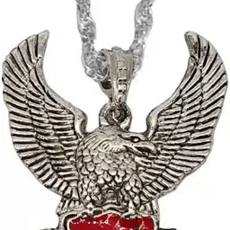 shiv jagdamba Flying Eagle Baaj Bird Jewellery Gifts With Chain Sterling Silver Alloy, Metal Pendant-picture-18