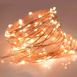 mansaa Warm White 10 Meter LED Festive String Light-picture-21