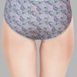 daisy dee Pack of 3 Women Hipster Multicolor Panty image 2