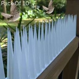 spikestore Bird Spike image 1