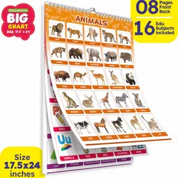 aryanseduworld Look & Learn Big Chart Set of 16 Edu Subjects 8 Pages Front & Back (Multicolor) Paper Print-picture-15