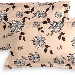 moonroof Cotton King Fitted (Elastic) 255 TC Printed Bedsheet image 3