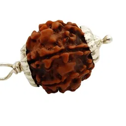 9stars 6 Mukhi Rudraksha Original Certified 18mm with Capping 6 मुखी रुद्राक्ष Six Face Rudraksha Original Nepal Natural 6 Face Rudrakshaa Nepal Lord Shiv Nepali Bead For Men & Women image 1
