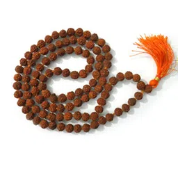 RAVIOUR LIFESTYLE Unisex Brown Necklace and Chains-image-79