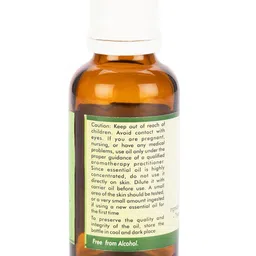 R V Essential Pure Borage Essential Oil - 30 ml image 2