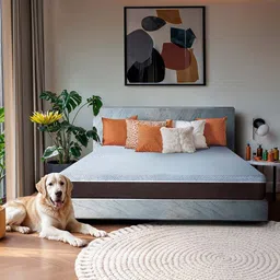 Sleepyhead Laxe Natural Pincore Latex 8" Double Mattress (72x48 Inch) image 5