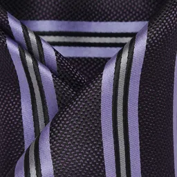 Alvaro Castagnino Men's Purple & Black Striped Pocket Square image 2