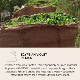 Victoria's Secret Bare Fine Fragrance Mist For Her image 5