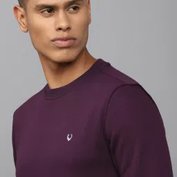 allen solly Men Purple Crew Neck Full Sleeves Casual Sweatshirt image 4
