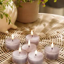 Pure Home and Living Purple Wax Black Amber Tealight Candles - Set of 6-image-46