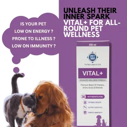 pet360 Vital+ Advanced Wellness Formula for Dogs & Cats | Multivitamin Syrup for Healthy Skin, Joints & Boosted Immunity | Nutritional Supplement with Vitamins & Minerals for Enhanced Growth - 200 ml image 2