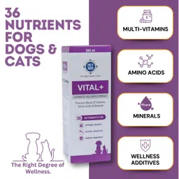 pet360 Vital+ Advanced Wellness Formula for Dogs & Cats | Multivitamin Syrup for Healthy Skin, Joints & Boosted Immunity | Nutritional Supplement with Vitamins & Minerals for Enhanced Growth - 200 ml image 5