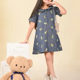 LilPicks Kids Blue Embroidered A Line Dress image 4