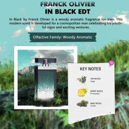 Franck Olivier In Black Eau de Toilette for Men - 75 ml image 4