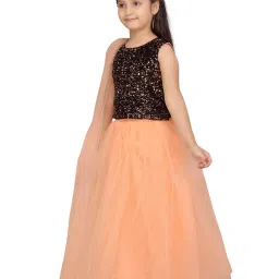 Aarika Kids Black & Peach Embellished Lehenga, Choli with Dupatta image 3