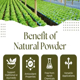 Purenso Natural Amla Powder For Hair Moisturizer - 5 Kg image 3