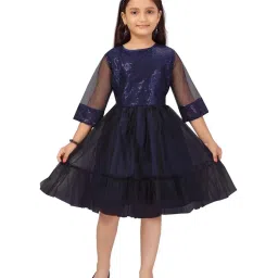 Aarika Kids Navy Embellished Frock image 1