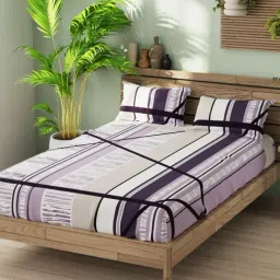Bianca Organica Purple Cotton Geometric 180 TC California King Flat Bedsheet with 2 Pillow Covers image 2