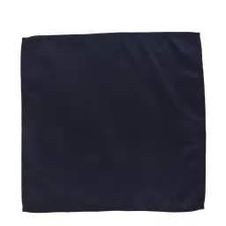 Peter England Navy Solid Pocket Square image 3