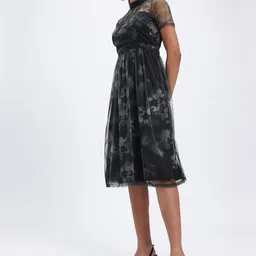 glitchez Mesh Printed Pleated Semi-Sheer Midi Fit & Flare Dress image 5