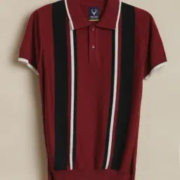 Allen Solly Boys Maroon Cotton Regular Fit Striped T-Shirt-picture-24