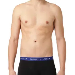 Tommy Hilfiger Desert Sky & Bold Blue Logo Regular Fit Trunks-picture-36