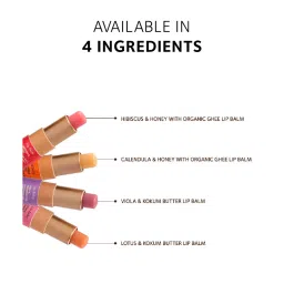 SoulTree Lotus & Kokum Butter Lip Balm - 3.5 gm | Ayurvedic Lip Balm image 3