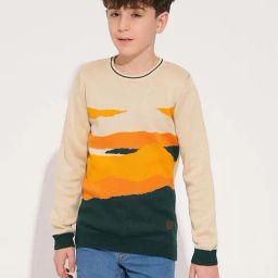 Jack & Jones Junior Boys Multicolor Cotton Self Full Sleeves Pullover Sweater-picture-45