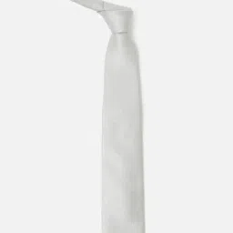 Allen Solly Grey Embroidered Formal Tie image 2