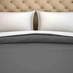 Spaces Hygro Dark Grey Cotton 300 TC Duvet Cover - Set of 1 image 3