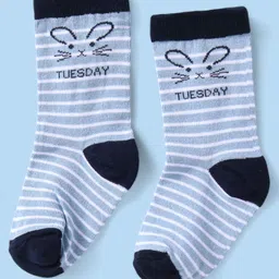 Cute Walk by Babyhug Non Terry Knit Anti-Bacterial Ankle Length Socks With Polka Dots & Strips Pack of 7 - Multicolor image 2