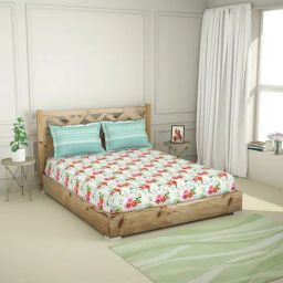 Spaces Mint Organic 210 TC Cotton Bedsheet with 2 Pillow Covers-picture-25