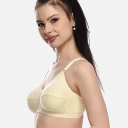 fims FIMS: Fashion is my Style Beige & Maroon Everyday Bras - Pack Of 2 image 4