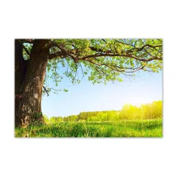 999store Green & Blue Spring Meadow With Big Tree Canvas Painting image 2