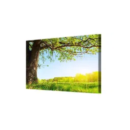999store Green & Blue Spring Meadow With Big Tree Canvas Painting image 3