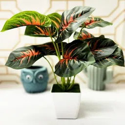 Dekorly Green Plastic Artificial Flowers & Plants With Pot-picture-29