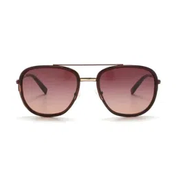 Tommy Hilfiger TH2589 Light Brown Gradient Aviator-image-52