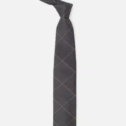 Allen Solly Grey Printed Formal Tie image 2